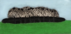 52042DA0-51D5-44CC-83F1-F6AC5A2610D2_1_105_c